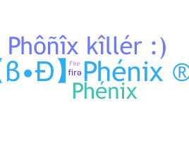 暱稱 - Phnix