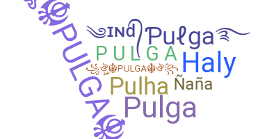 暱稱 - Pulga