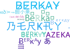 暱稱 - Berkay
