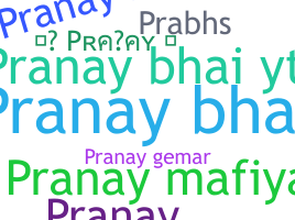 暱稱 - Pranaybhai