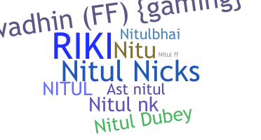 暱稱 - Nitul