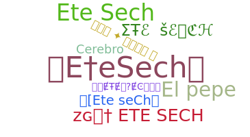 暱稱 - Etesech