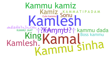 暱稱 - Kammu