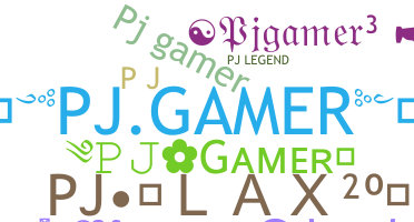 暱稱 - PJgamer