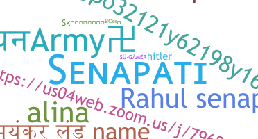 暱稱 - Senapati