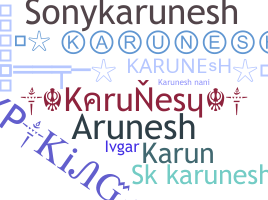 暱稱 - Karunesh