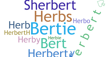 暱稱 - Herbert