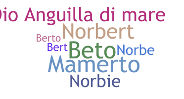 暱稱 - Norberto