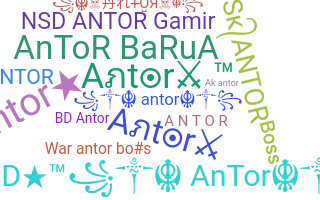 暱稱 - Antor