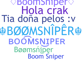 暱稱 - BoomSniper