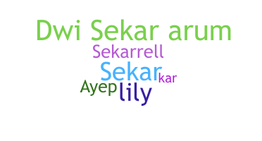 暱稱 - Sekar