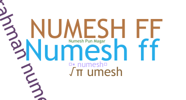 暱稱 - Numesh