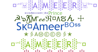暱稱 - Ameer