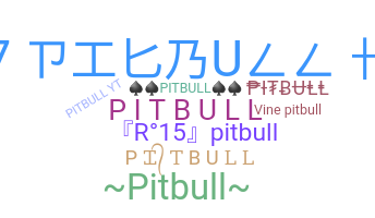 暱稱 - PitBull
