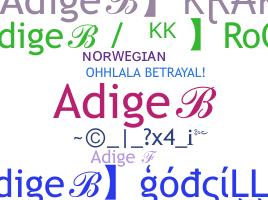 暱稱 - adige