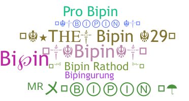 暱稱 - Bipin