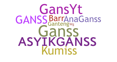 暱稱 - GansS