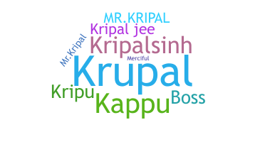 暱稱 - Kripal