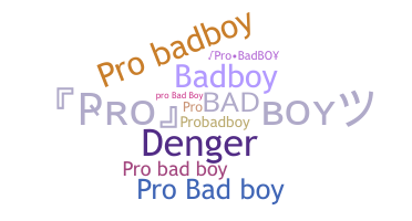 暱稱 - ProBadboy