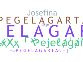 暱稱 - Pejelagarto
