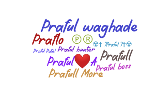 暱稱 - Praful