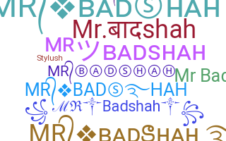 暱稱 - MRBADSHAH