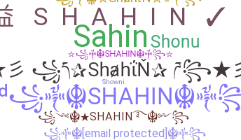 暱稱 - Shahin