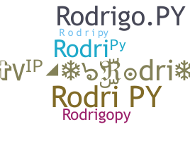 暱稱 - Rodripy