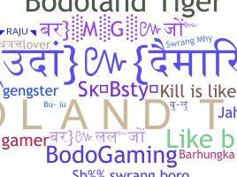暱稱 - Bodoland
