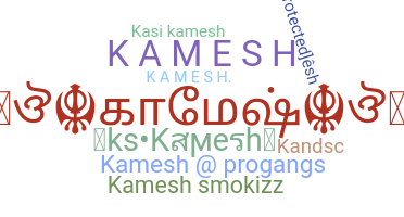 暱稱 - Kamesh