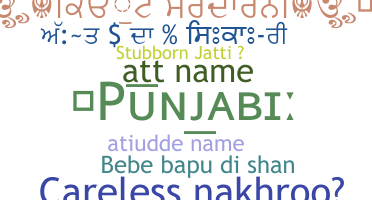 暱稱 - Punjabi