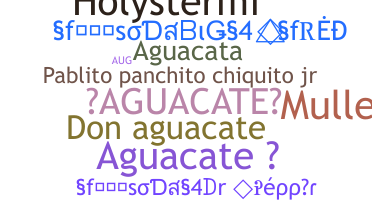 暱稱 - Aguacate