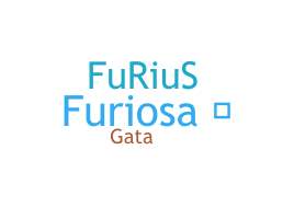 暱稱 - Furiosa
