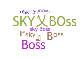 暱稱 - SkyBoss