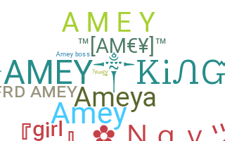 暱稱 - AmeY