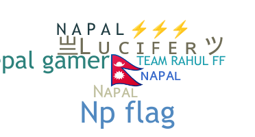 暱稱 - Napal