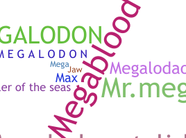 暱稱 - Megalodon