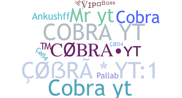 暱稱 - CobraYT