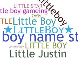 暱稱 - littleboy