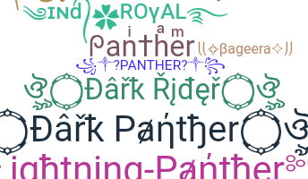 暱稱 - Panther