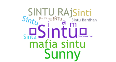 暱稱 - sintu