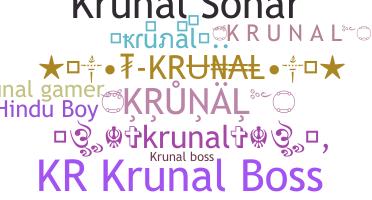 暱稱 - krunal