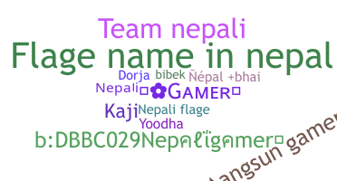 暱稱 - Nepaligamer