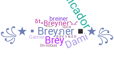 暱稱 - Breyner