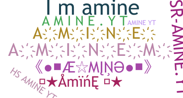 暱稱 - Amine