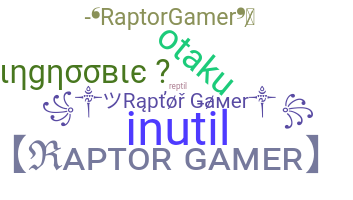 暱稱 - Raptorgamer