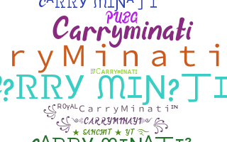 暱稱 - CarryMinati