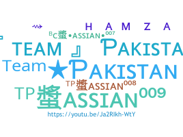 暱稱 - TeamPakistan