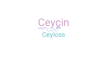 暱稱 - Ceylin