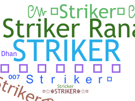暱稱 - Striker
